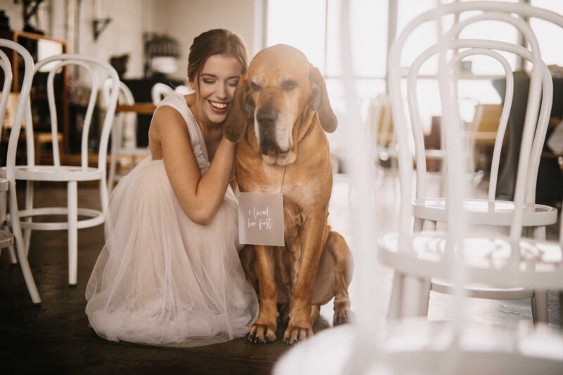 hochzeitsfotos bonn Braut mit Hund